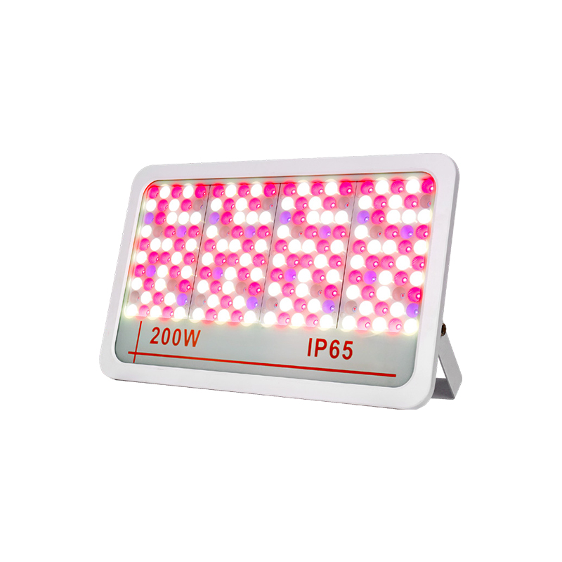 LED Taşkın Işığı