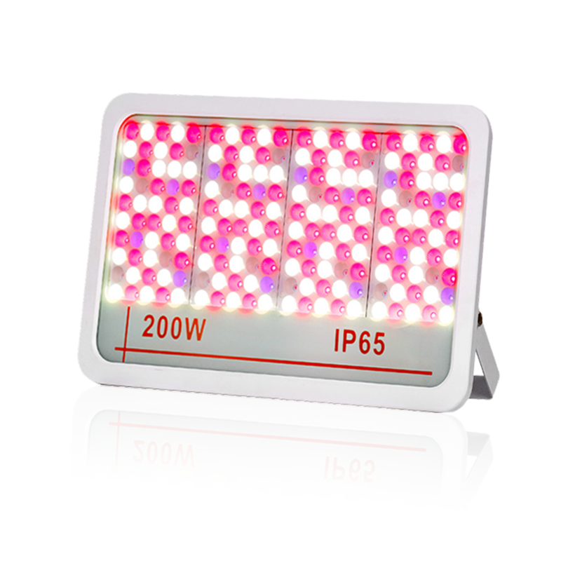 LED Taşkın Işığı
