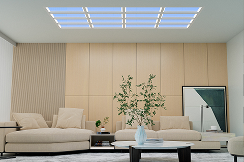 Xin Guang Yuan (Yeni Işıklar) Lighting Technology Co., Ltd.